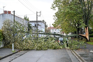 Éole octobre 2024 - Tempête Domingos